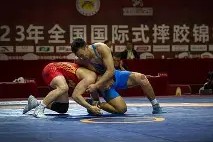 包含摔跤邀请赛掀起高潮，蓬莱巨龙队大胜东海迅豹队，战至最后一刻——年轻人站出来了的词条